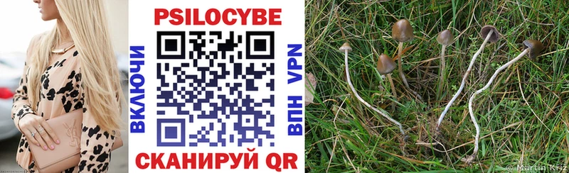 hydra ссылки  Волхов  Галлюциногенные грибы Psilocybe 